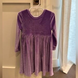 Pink Chicken Velvet Dress